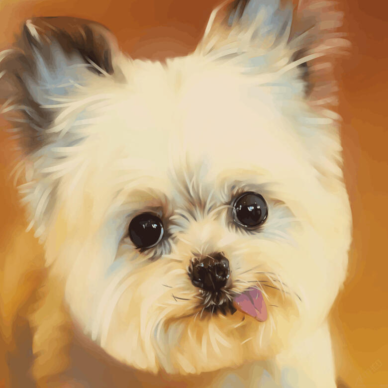 Norbert the Dog